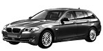BMW F11 B1D38 Fault Code